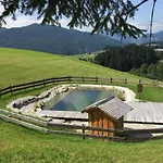 Sonnleit'n 6 * Abtenau