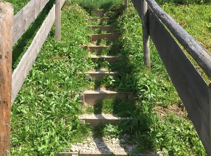 Sonnleit'n 6 팜스테이 *